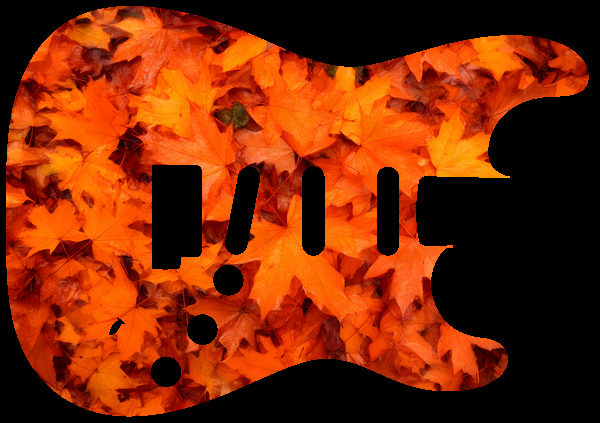 Autumn leaves carpet