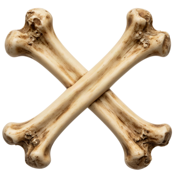 Crossed bones