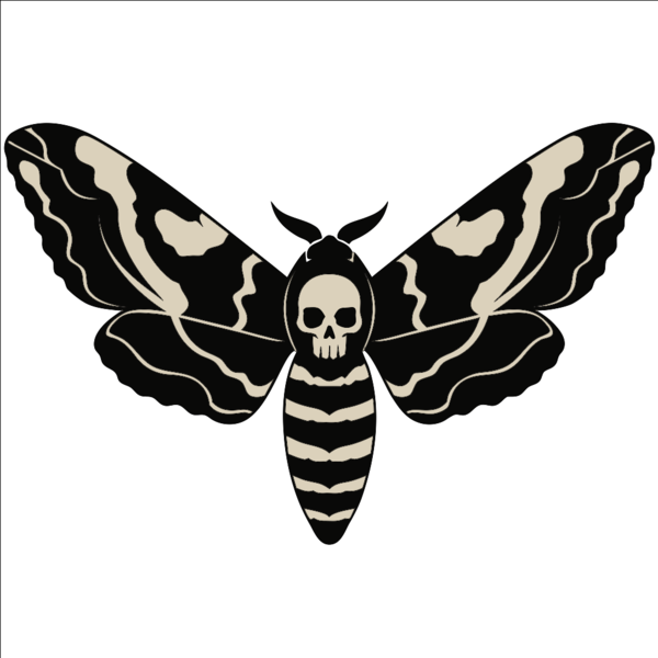 Death’s-head moth
