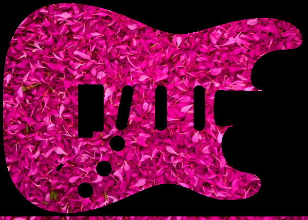 Fuchsia petal carpet
