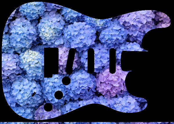 Hydrangea wall