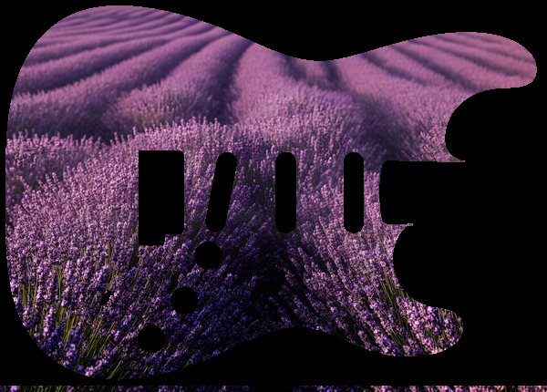 Lavender field rows