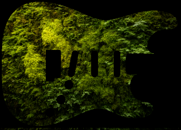 Moss living wall