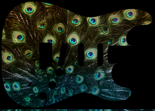 Peacock feather field
