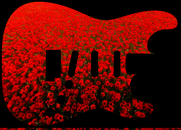 Poppy field aerial