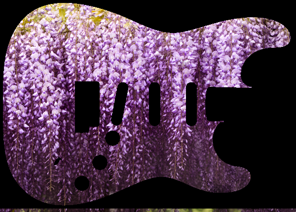 Wisteria cascade