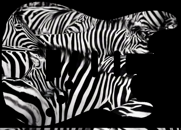 Zebra stripe field