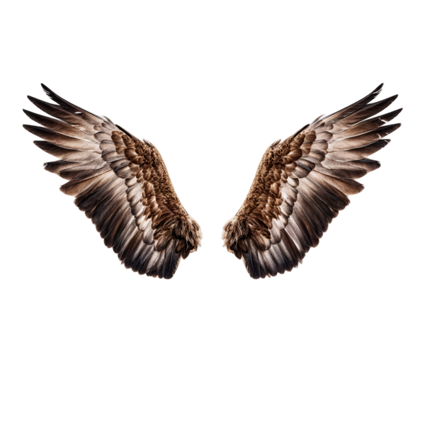 Spread wings