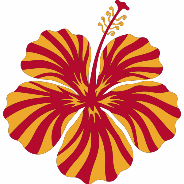 Hibiscus flat
