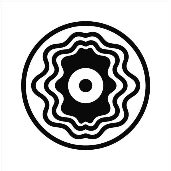 Vinyl disc icon