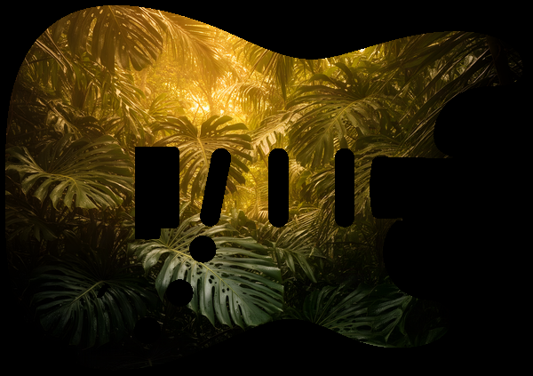Dense jungle canopy